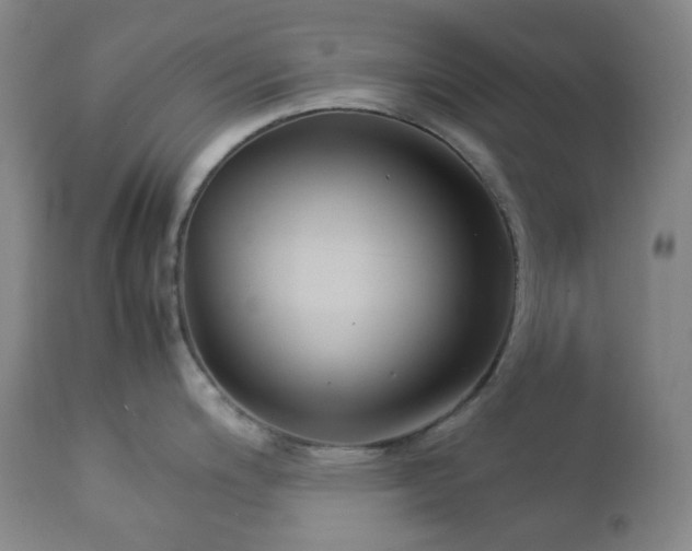 X0000113041200200908271458