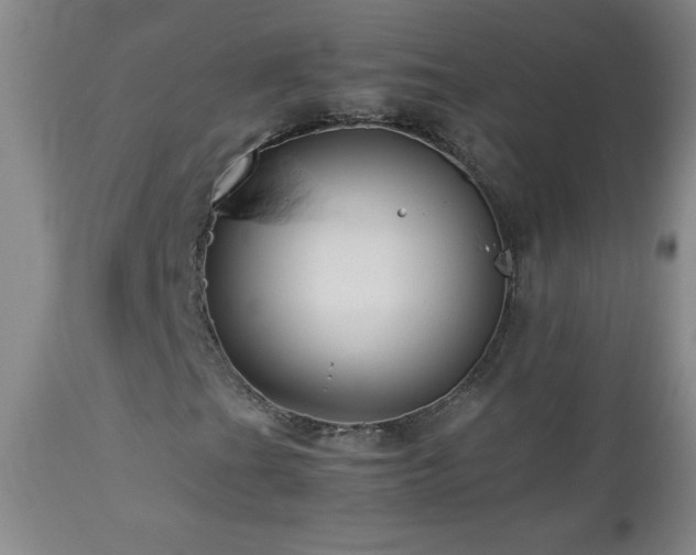 X0000113041201200908271457