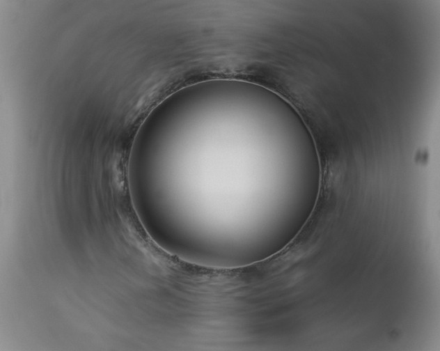 X0000113041202200908271457