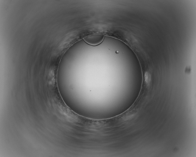 X0000113041203200908271457