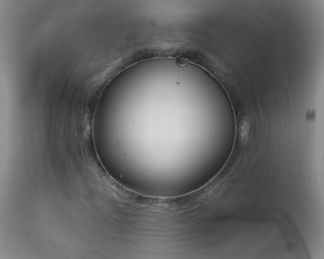 X0000113041204200908271457