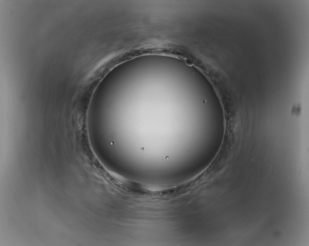 X0000113041206200908271457