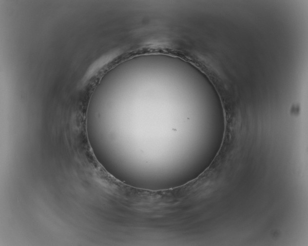 X0000113041207200908271457