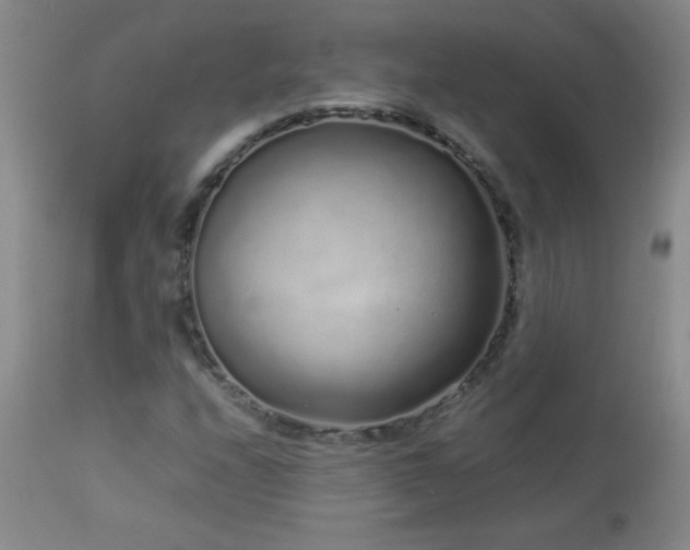 X0000113041208200908271457