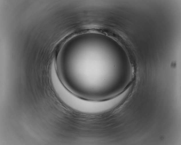 X0000113041209200908271457