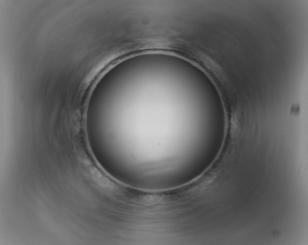 X0000113041212200908271457