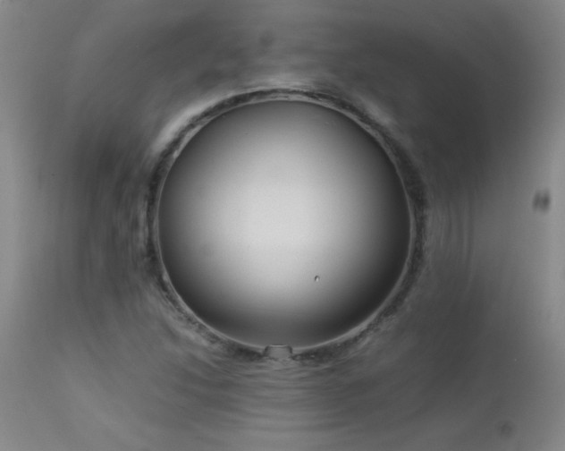 X0000113041214200908271457