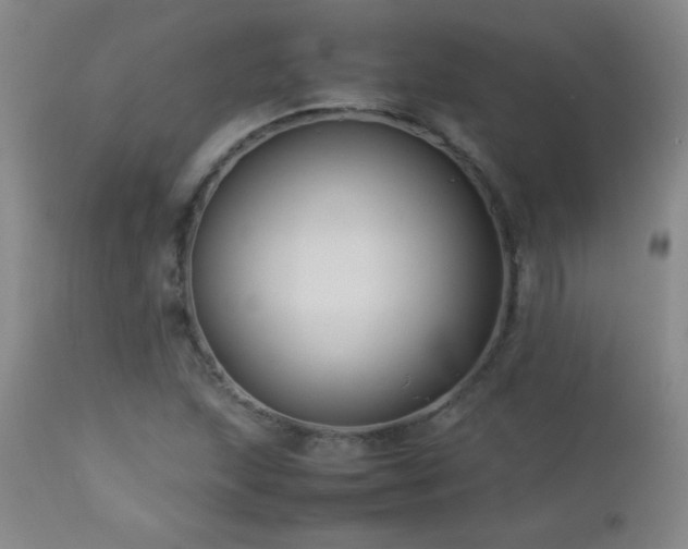 X0000113041215200908271457