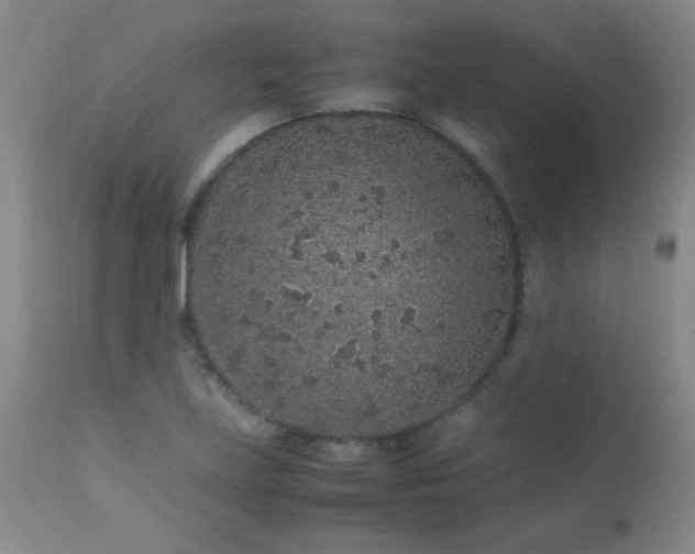 X0000113041219200908271457