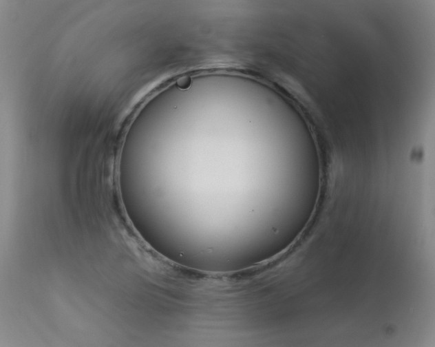 X0000113041220200908271457