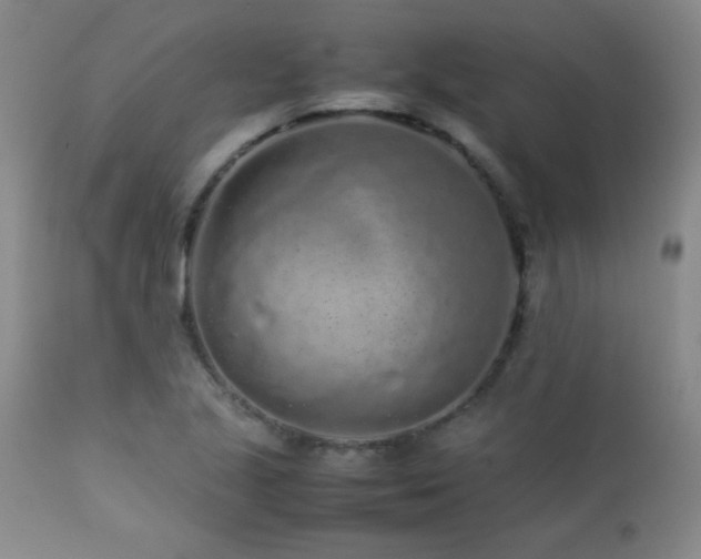 X0000113041221200908271457