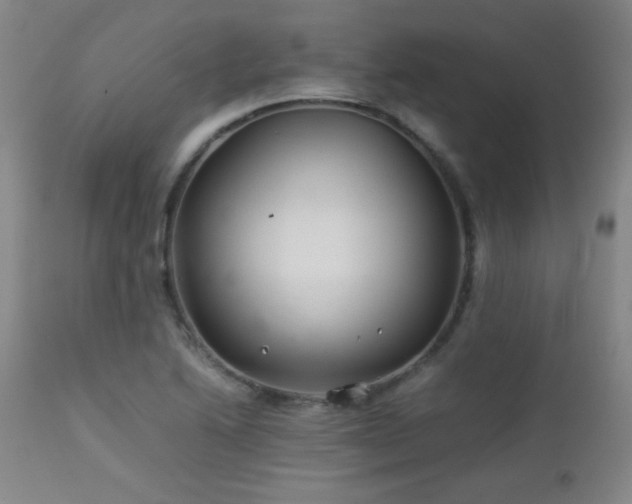 X0000113041222200908271457
