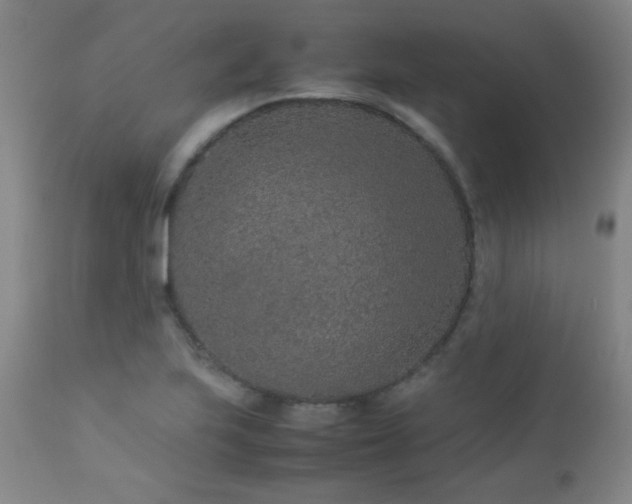 X0000113041223200908271457