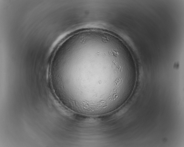 X0000113041224200908271457