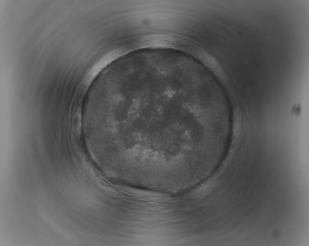 X0000113041226200908271457