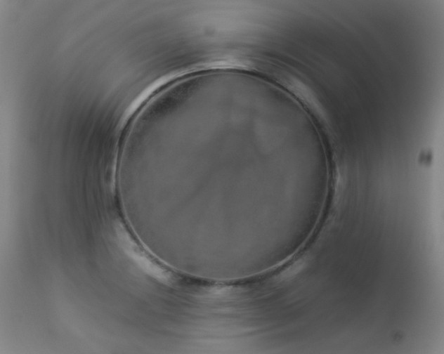 X0000113041228200908271457
