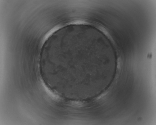 X0000113041229200908271457