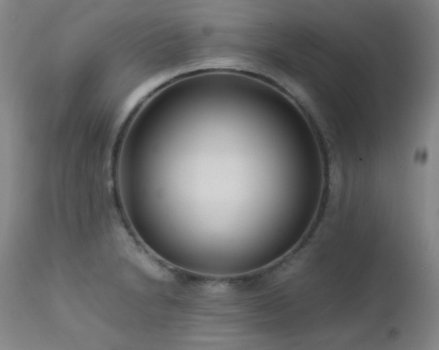 X0000113041230200908271457
