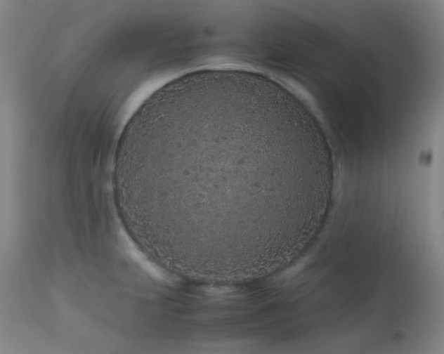 X0000113041231200908271457