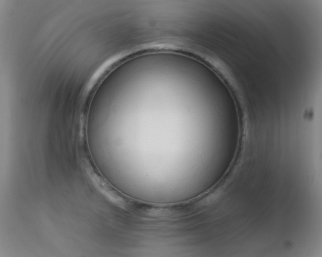 X0000113041232200908271457
