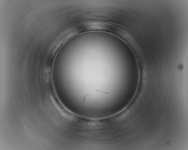 X0000113041233200908271457