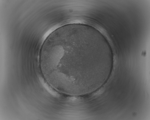 X0000113041234200908271457