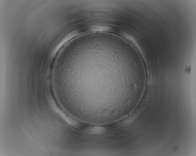 X0000113041235200908271457