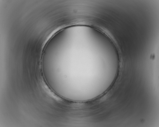 X0000113041236200908271457