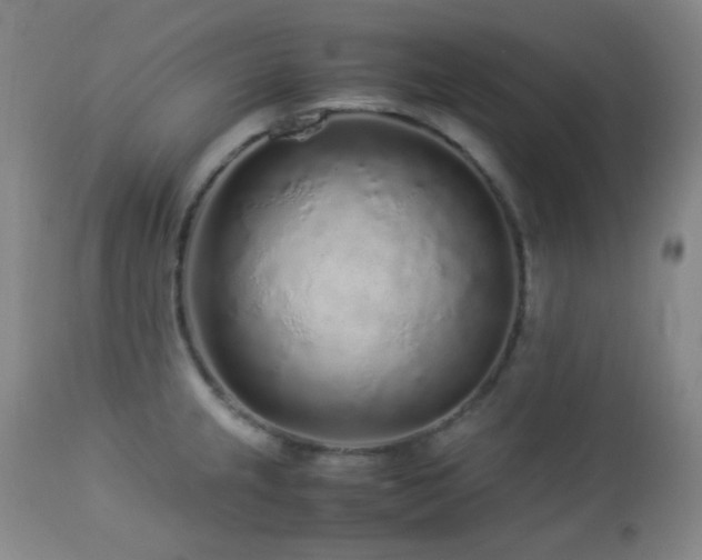X0000113041237200908271457