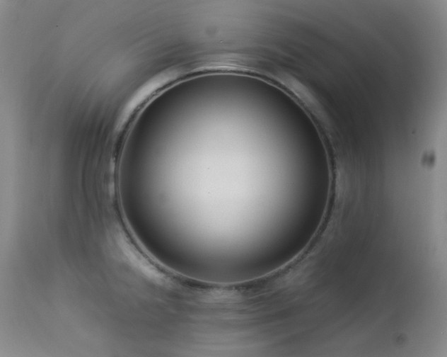 X0000113041238200908271457