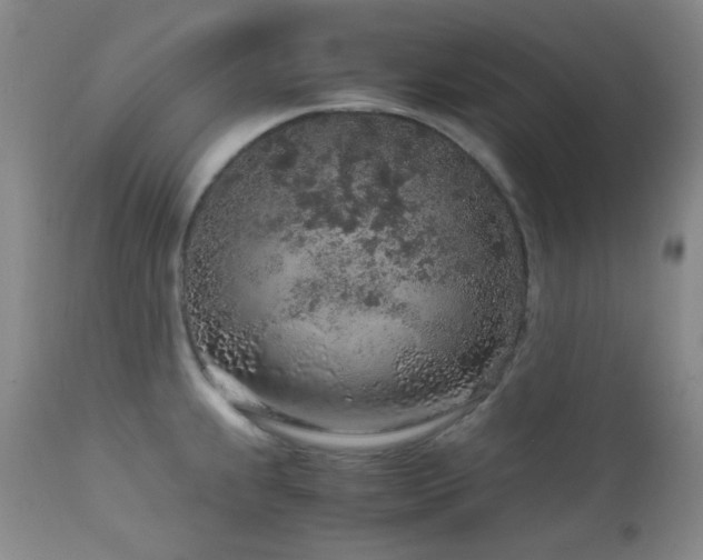 X0000113041239200908271457