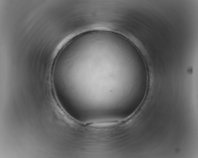 X0000113041240200908271457