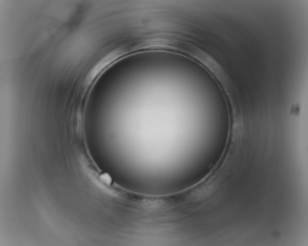 X0000113041242200908271457