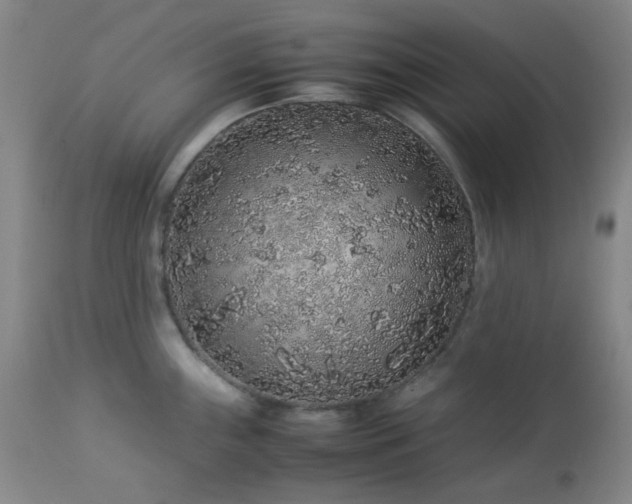 X0000113041243200908271457