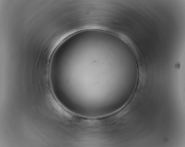 X0000113041244200908271457