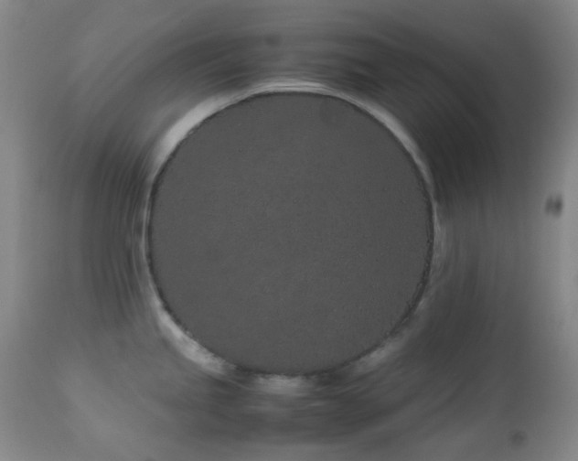 X0000113041245200908271458