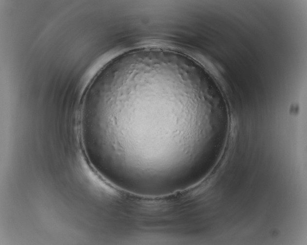 X0000113041247200908271458