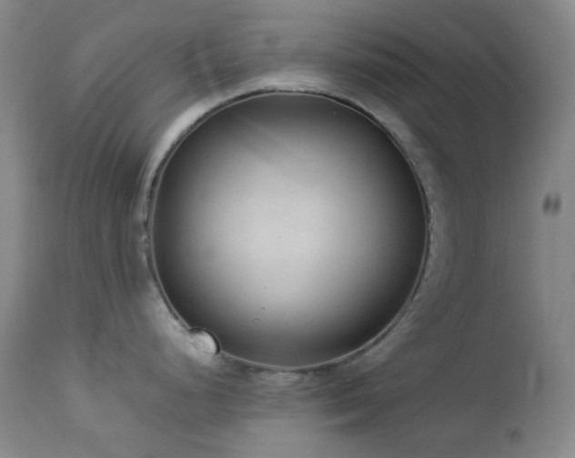 X0000113041248200908271458