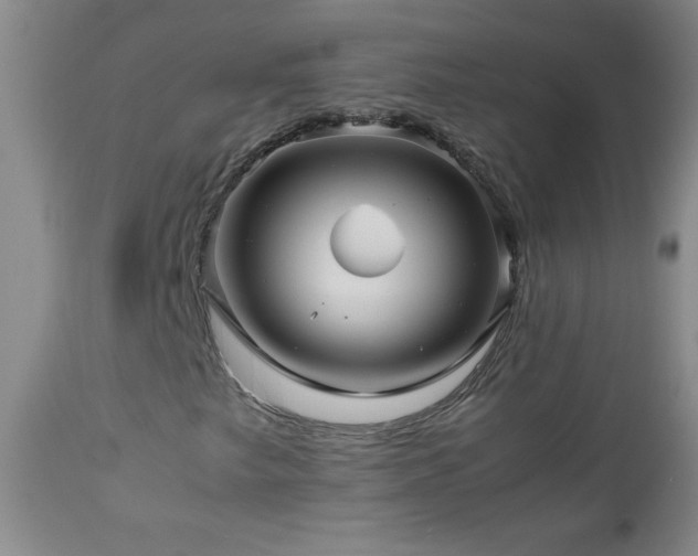 X0000113041249200908271457