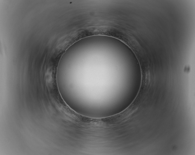 X0000113041250200908271457