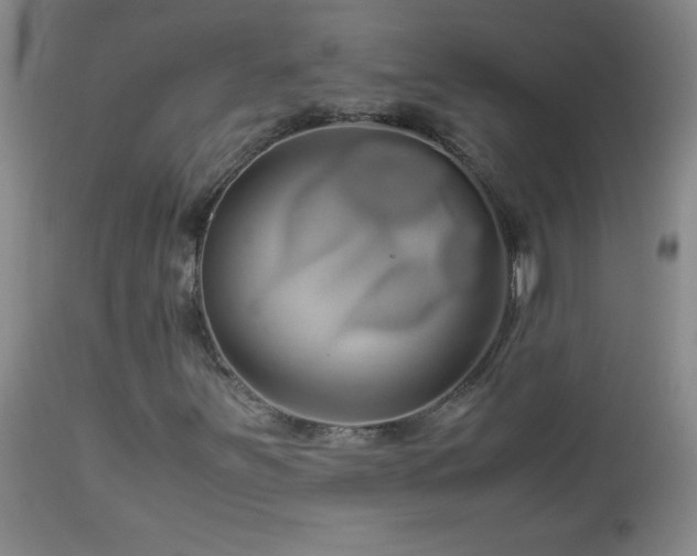 X0000113041251200908271457