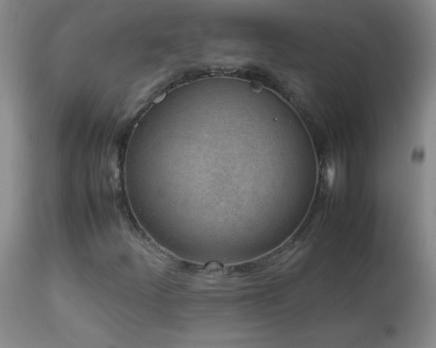 X0000113041252200908271457