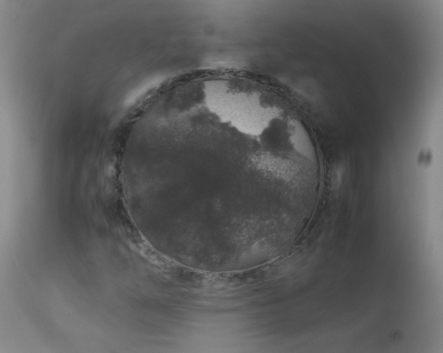 X0000113041254200908271457