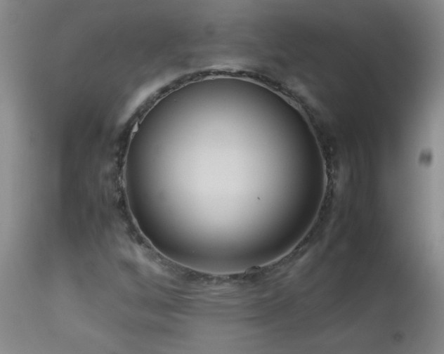 X0000113041256200908271457
