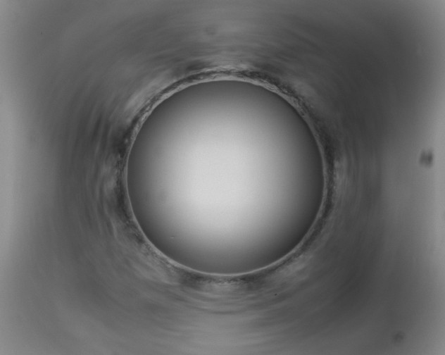 X0000113041257200908271457