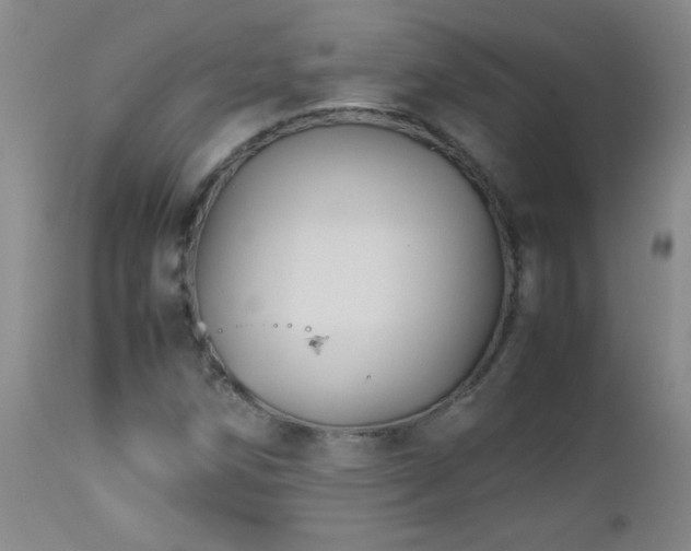 X0000113041258200908271457
