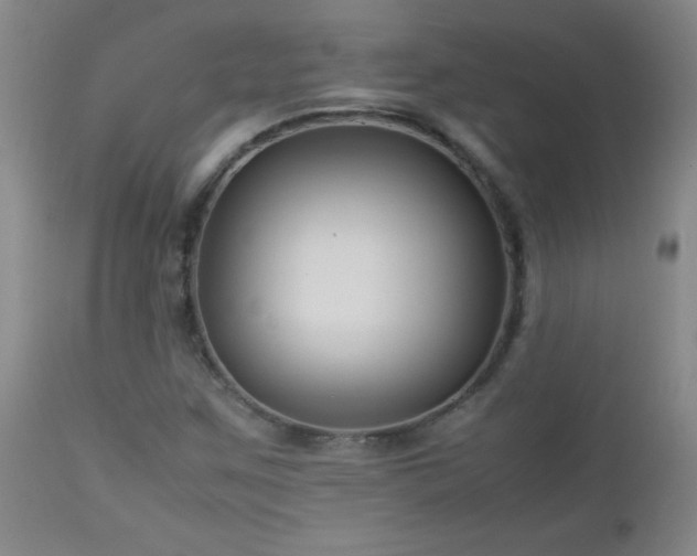 X0000113041259200908271457
