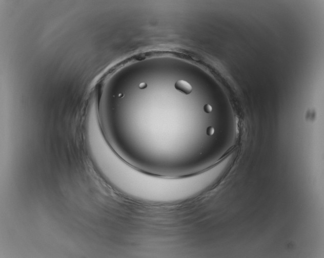 X0000113041260200908271457