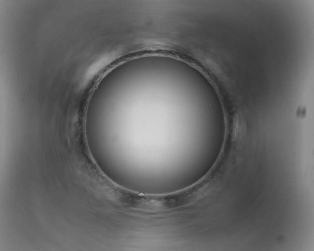 X0000113041261200908271457