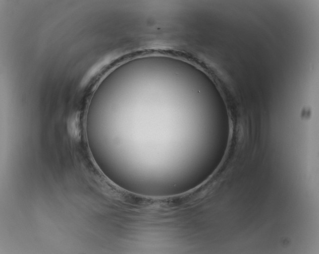 X0000113041262200908271457